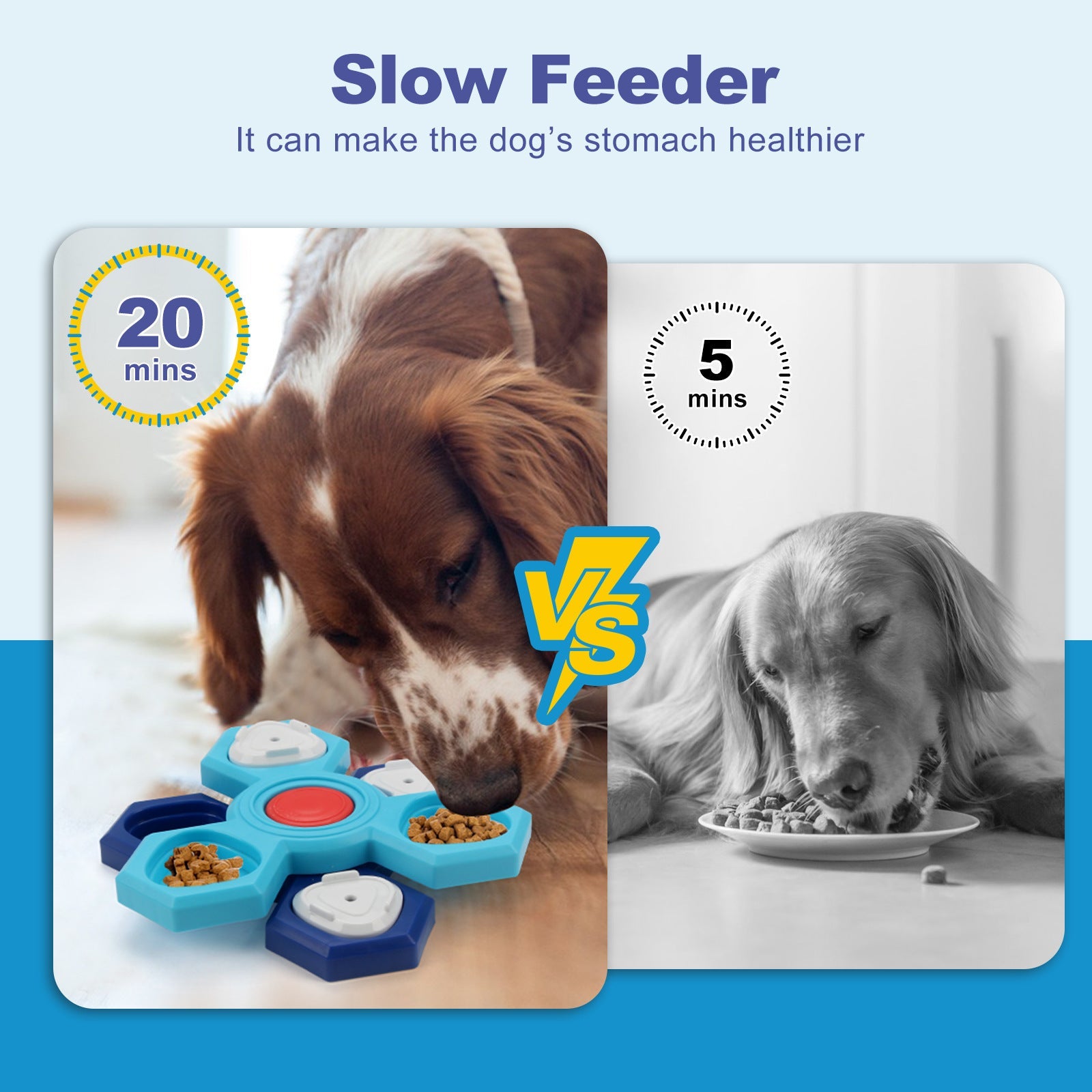BrainBowl™ – De 4 - Lagen Slow Feeder voor Slim & Gezond Eten - Wooftopia