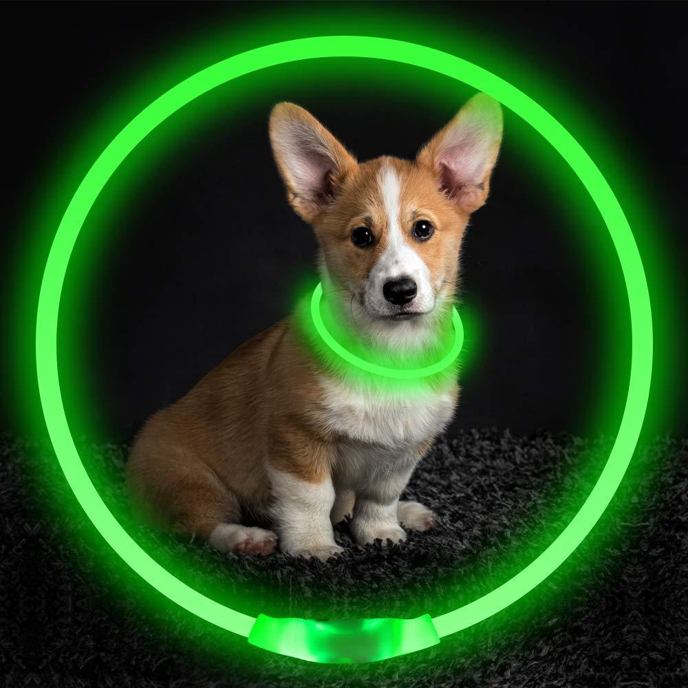 GlowGuard™ – De Oplaadbare LED Halsband voor Veilige Nachtwandelingen! - Wooftopia