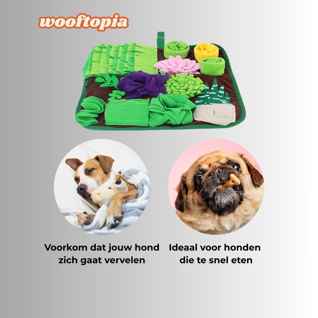 SniffMate™ Antikraak Trainingspad – Stimuleer het Natuurlijk Jachtinstinct van je Huisdier - Wooftopia